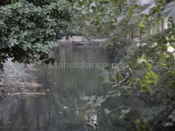 Ciudad de Caravaca 2012